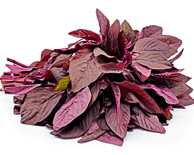 Amarnath Leaves