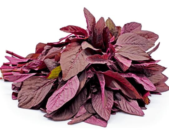 Amarnath Leaves