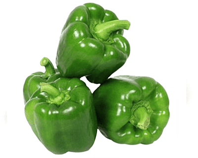 Capsicum
