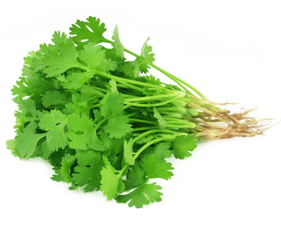 Coriander leaves
