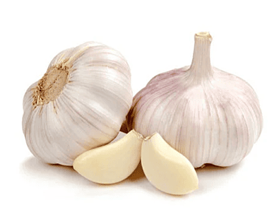 Garlic