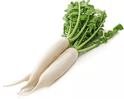 Radish