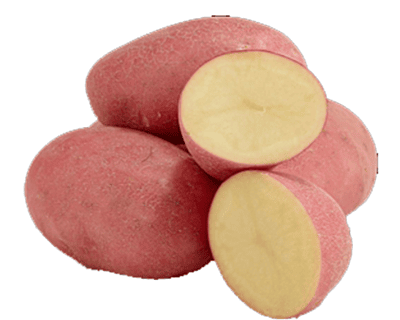 Potato Red