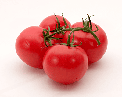 Tomato