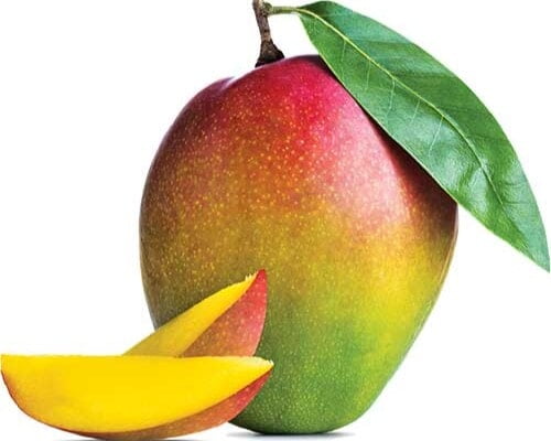 Mango Dasheri
